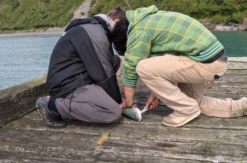 2012 09 21 Jackson Bay 31