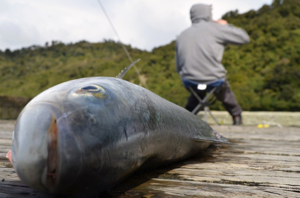 2012 09 21 Jackson Bay 57