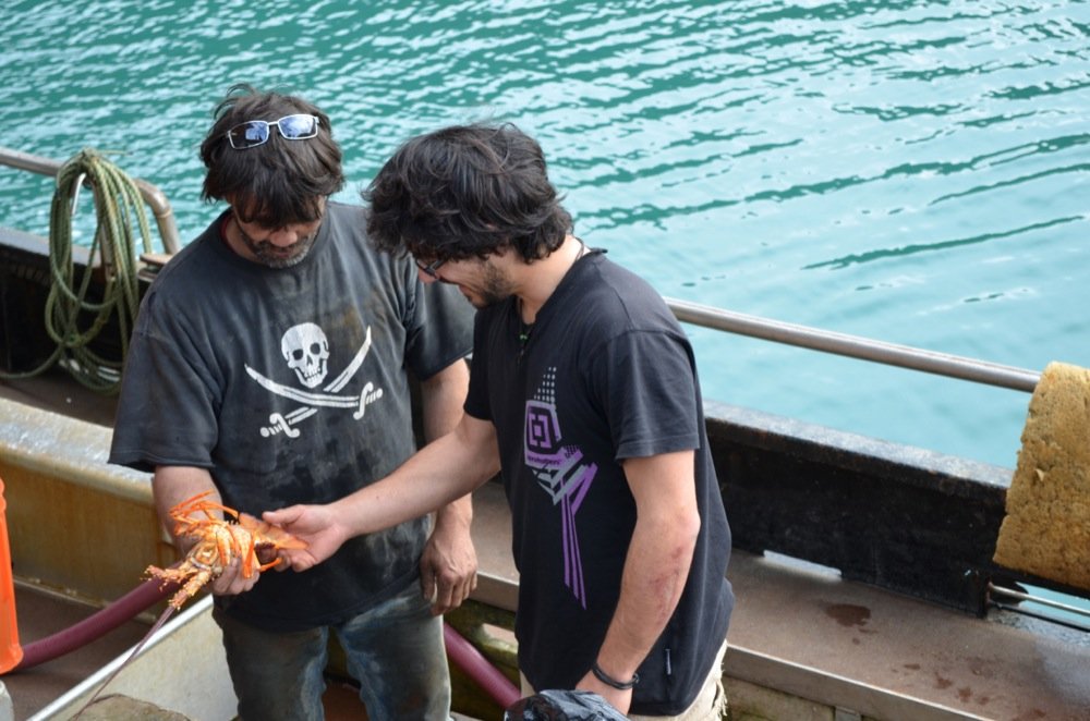 2012 09 21 Jackson Bay 79