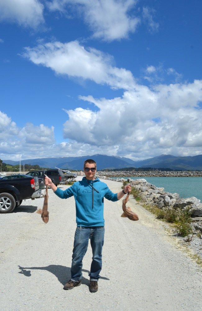 2012 10 23 Westland 66