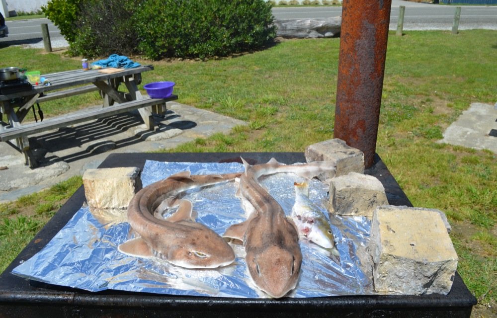 2012 10 23 Westland 71