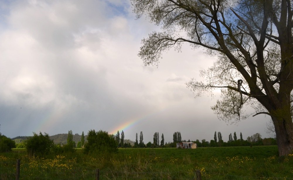 2012 10 23 Westland 84