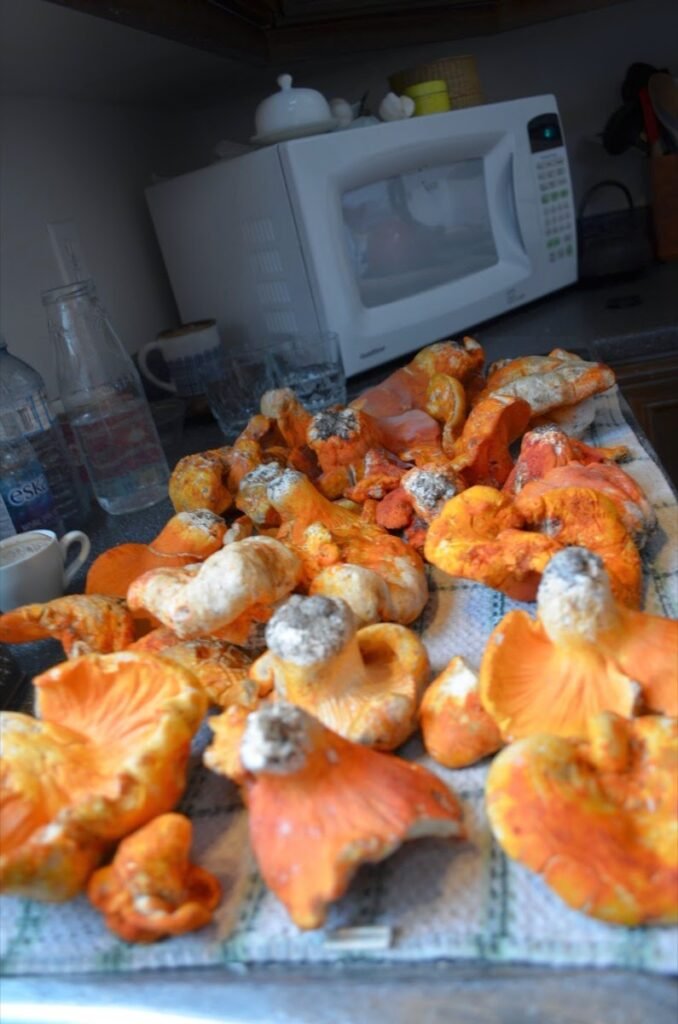 2014 08 05 Kabania 1 Modifie