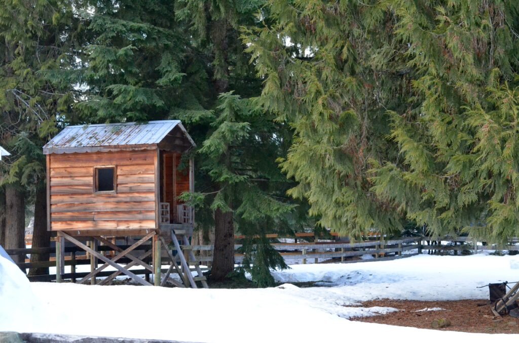 2015 02 21 Thehouse 23