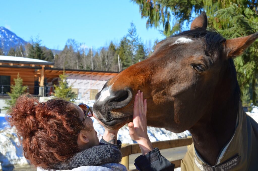 2015 02 22 Thehouse 30