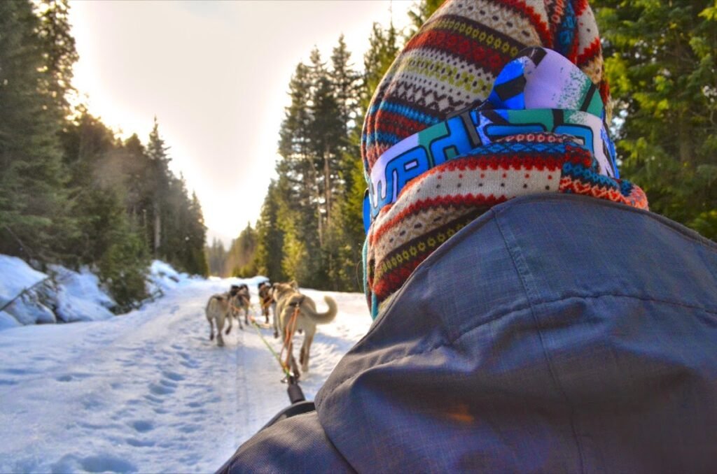 2015 02 25 Dogsled 41