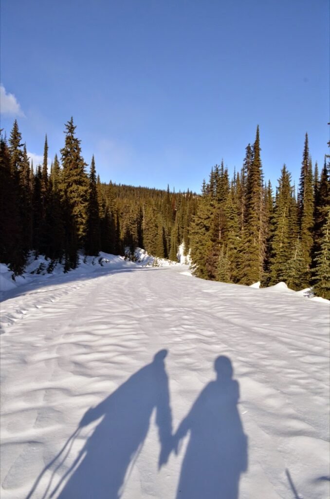 2015 03 03 Snowshoeing 11
