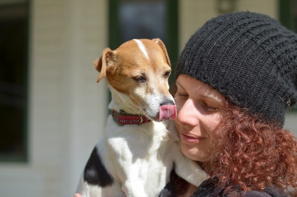 2015 03 29 Thehouse 20