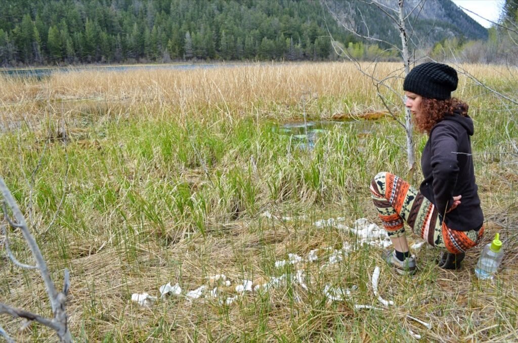 2015 04 28 Seatosky 55 Modifie