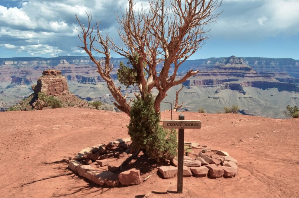 2015 06 15 Grandcanyon 35