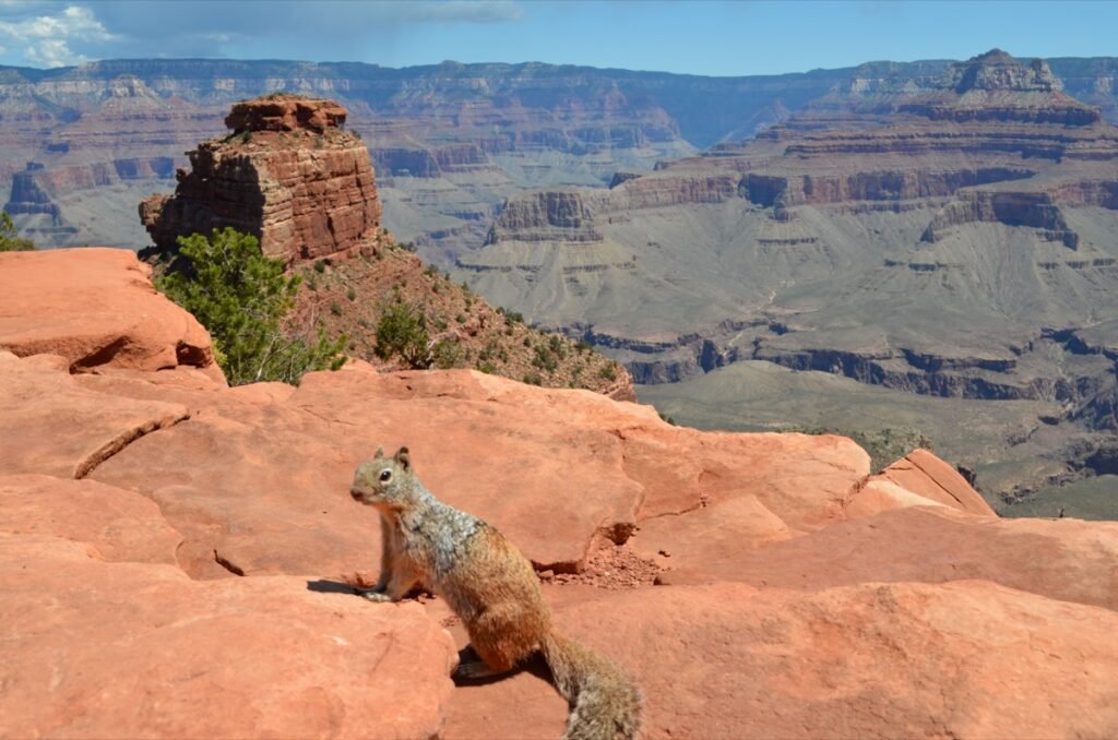 2015 06 15 Grandcanyon 38