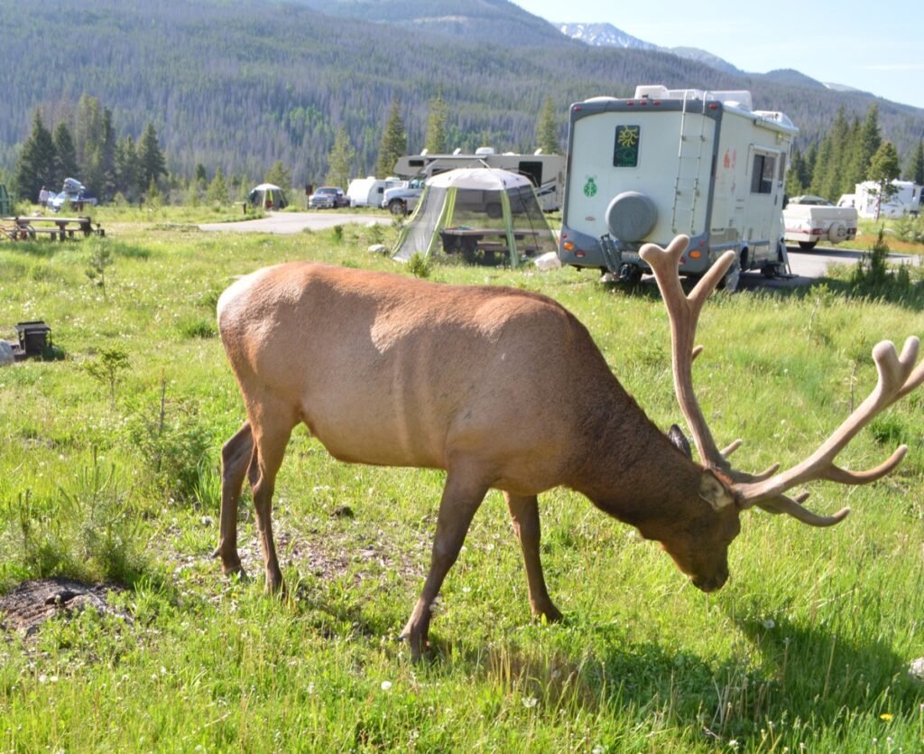 2015 06 23 Rockymountain 7