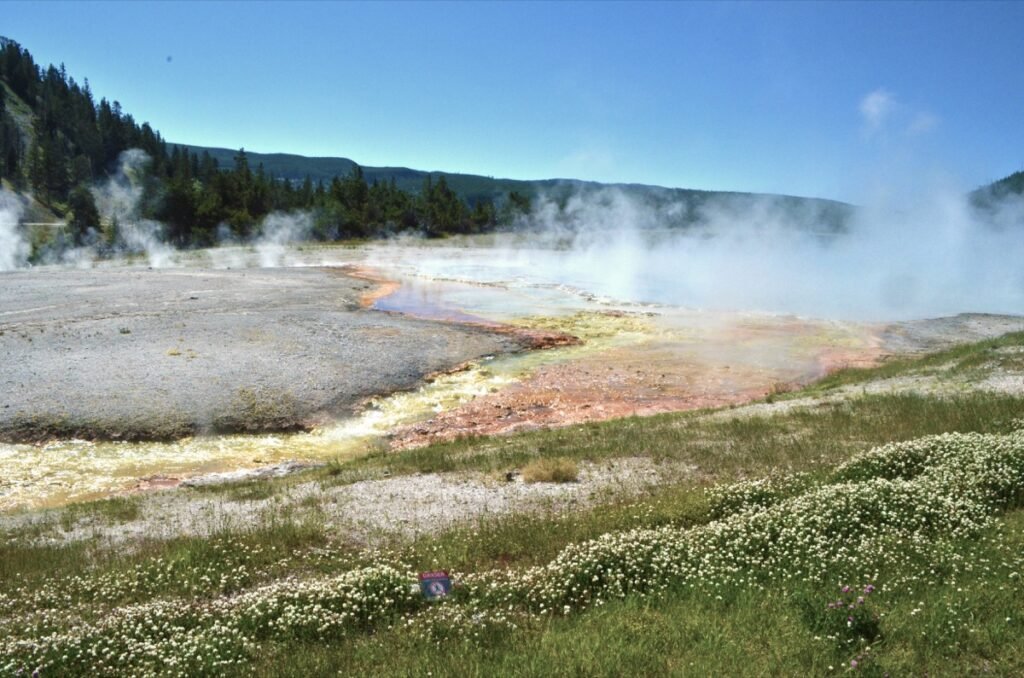 2015 06 26 Yellowstone 16