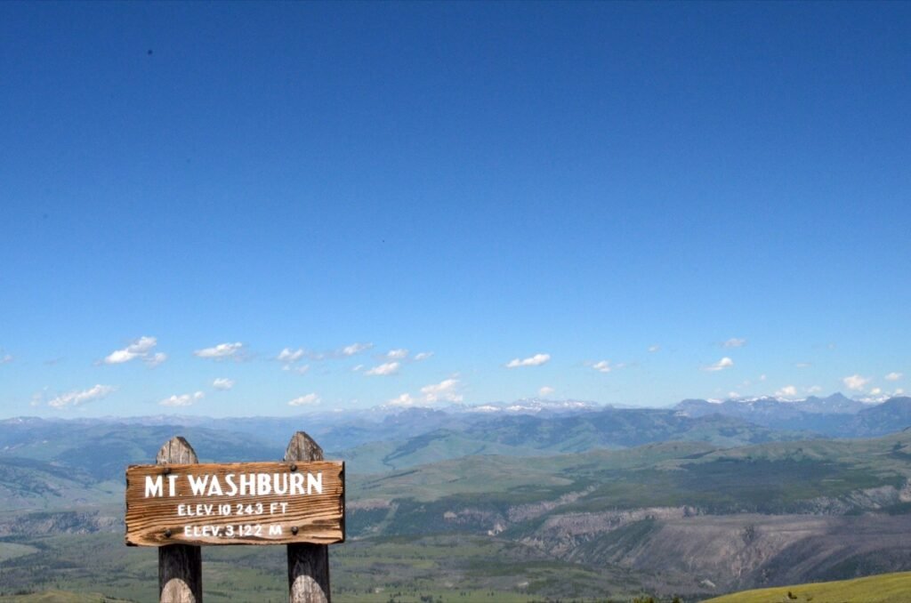 2015 06 27 Yellowstone 24