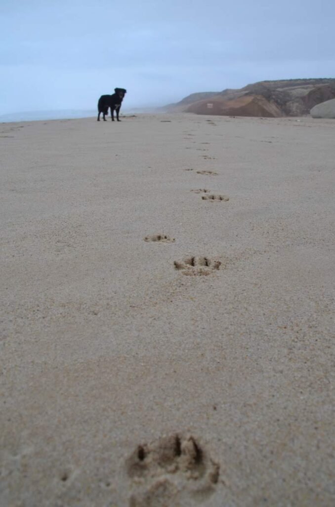 2017 10 16 Portugal 7