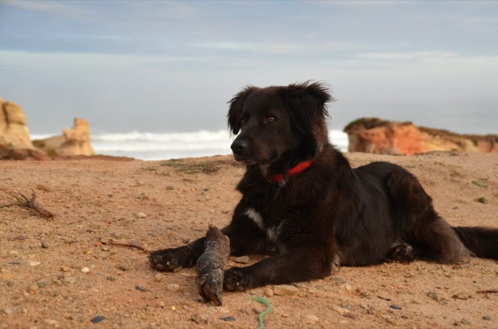 2017 10 17 Portugal 4