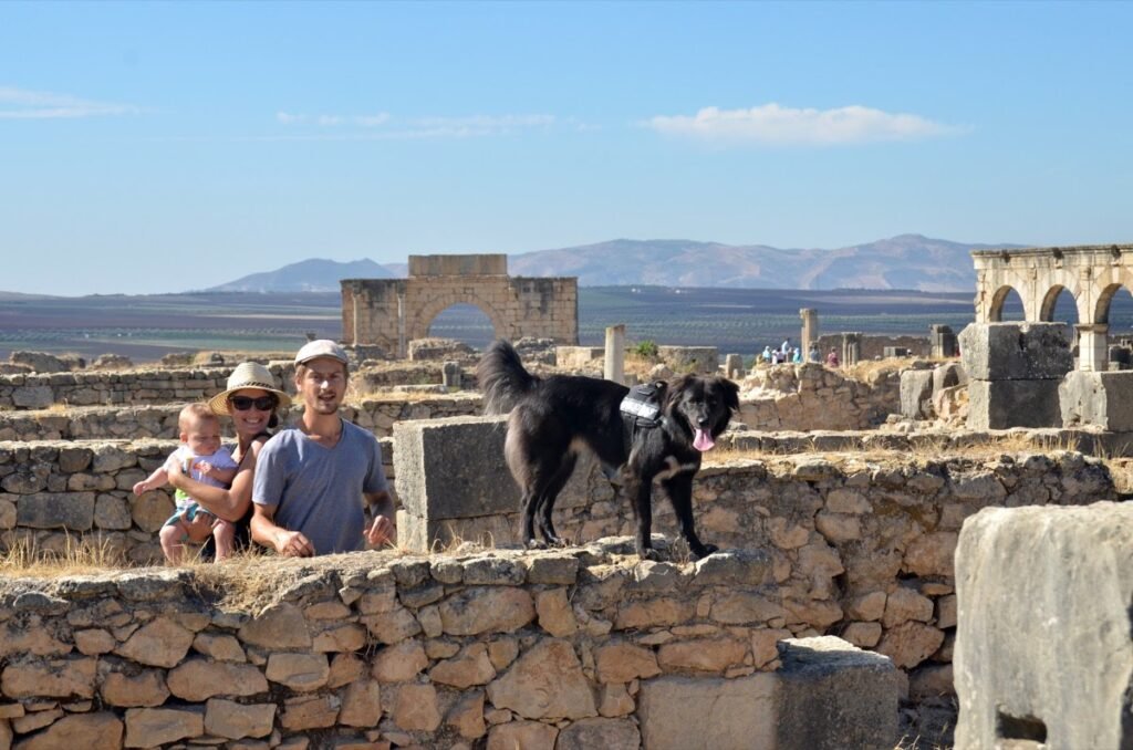 2017 10 27 Volubilis 22