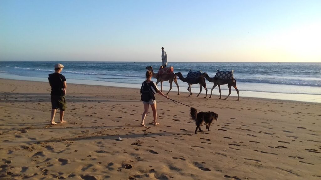 2017 11 10 Agadir Vio 125