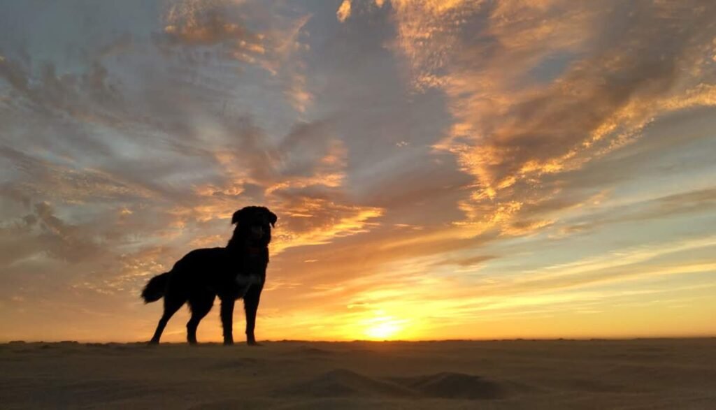 2017 11 4 Agadir Rem 21crop