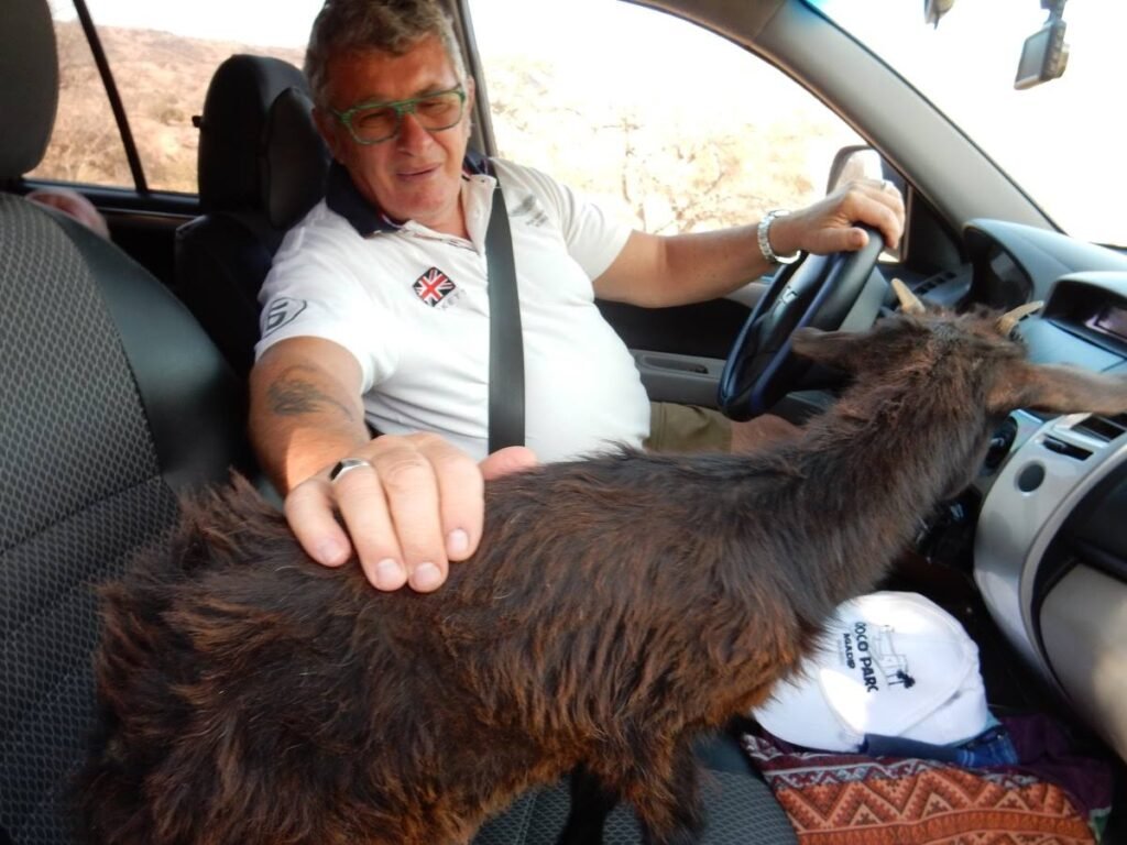 2017 11 6 Agadir Vio 15