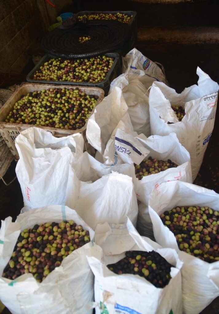 2017 11 7 Agadir 104