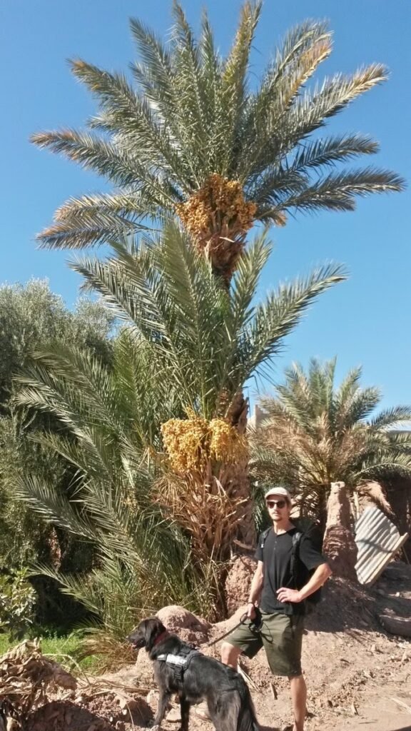 20171031 105342 Richtonehdr