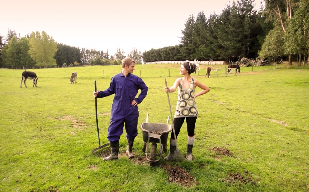 Woofing nouvelle zélande