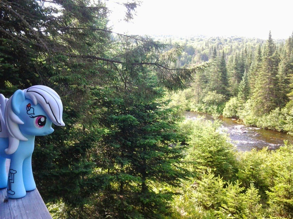 Kabania Poney Modifie