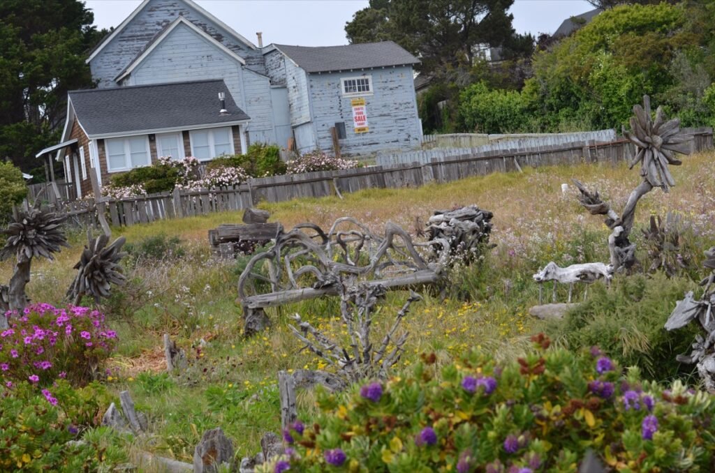 2015 05 24 North Cal 55