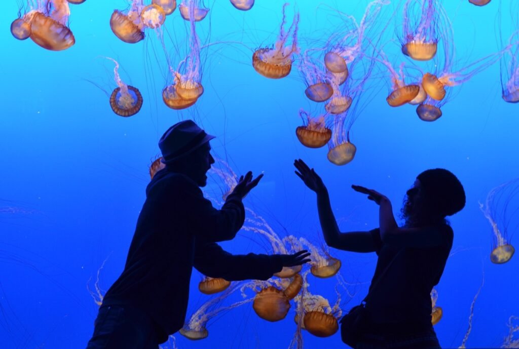 2015 06 06 PacificCoast 63