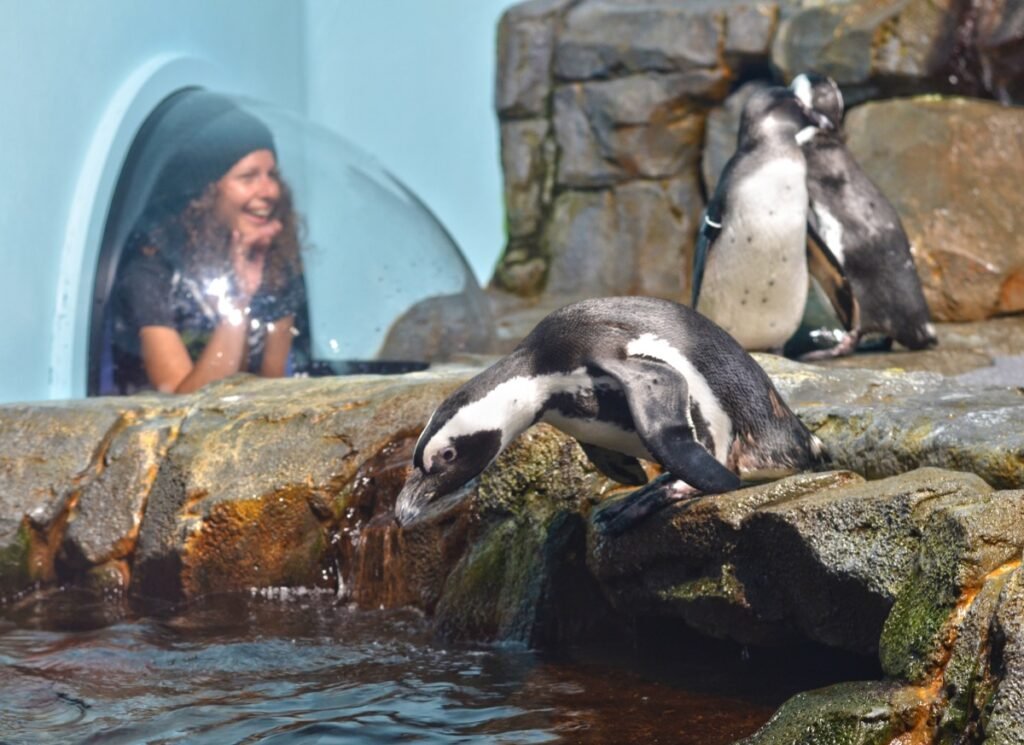 2015 06 06 PacificCoast 90