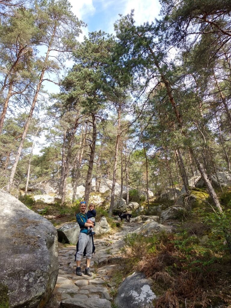 2019 5 24 Fontainebleau 5