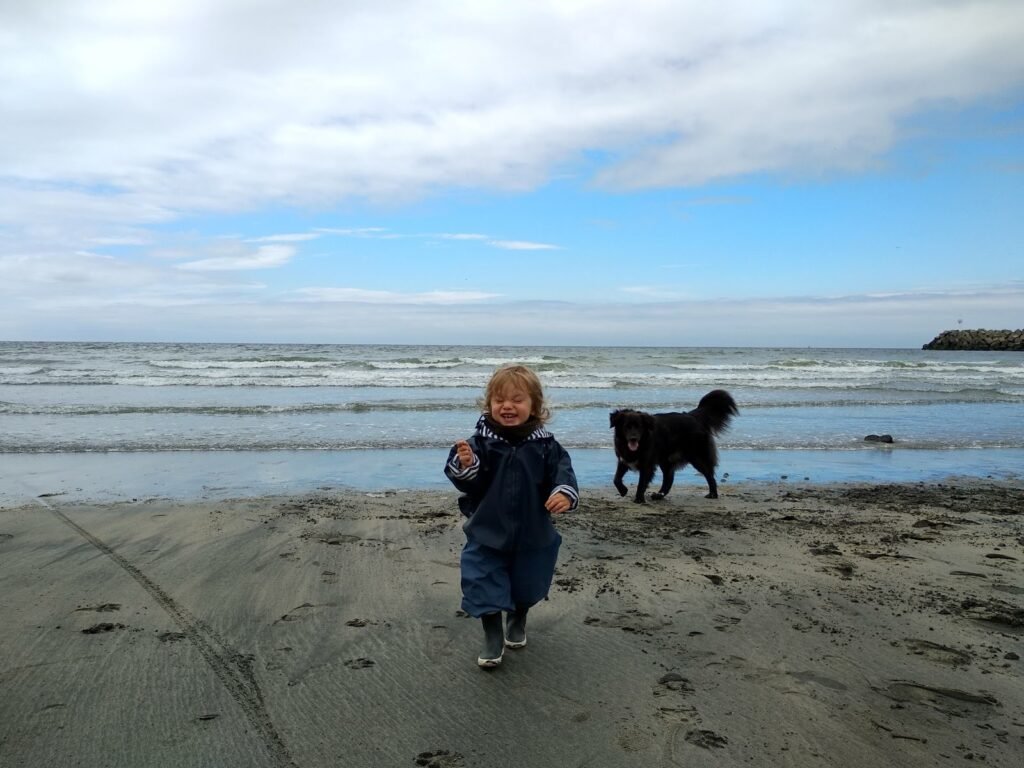 2019 5 27 Normandie 15