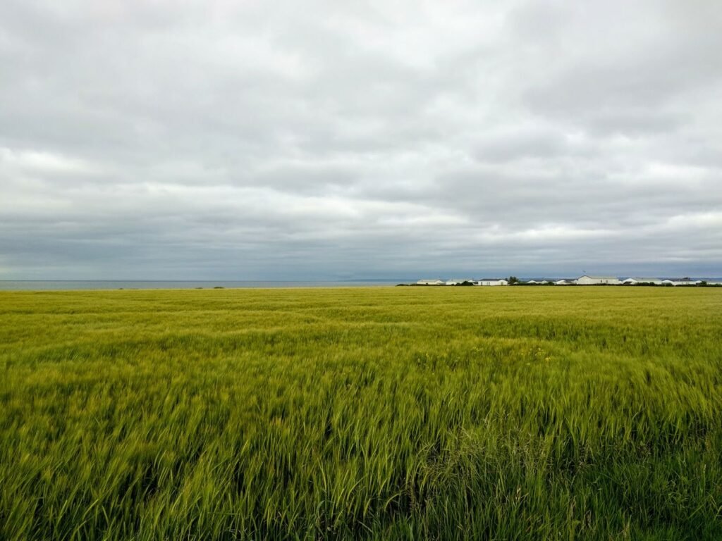 2019 5 27 Normandie 17