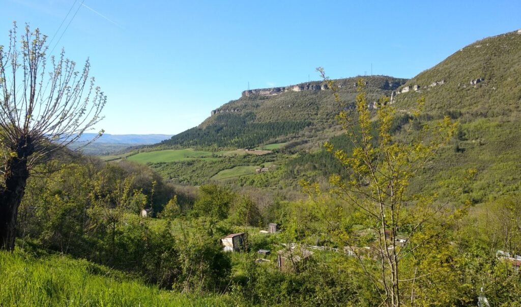 2019 5 7 Roquefort 1