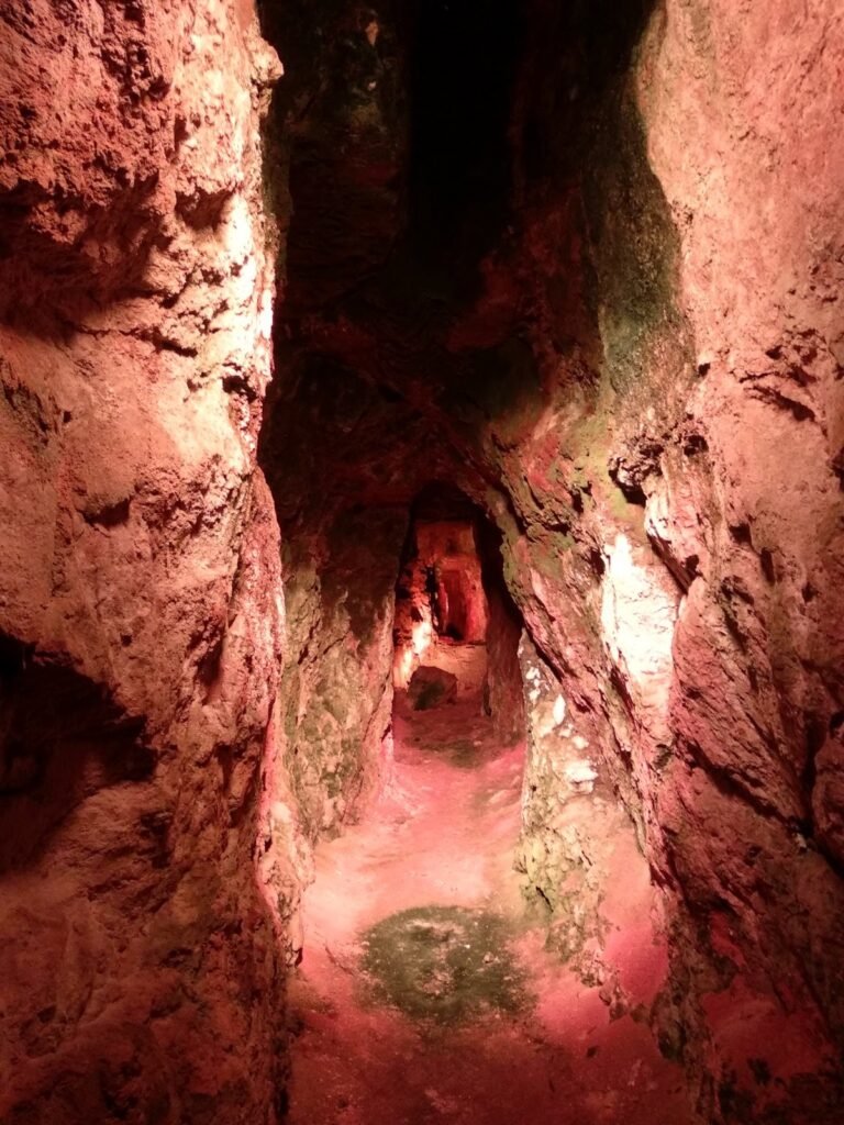 2019 5 7 Roquefort 3