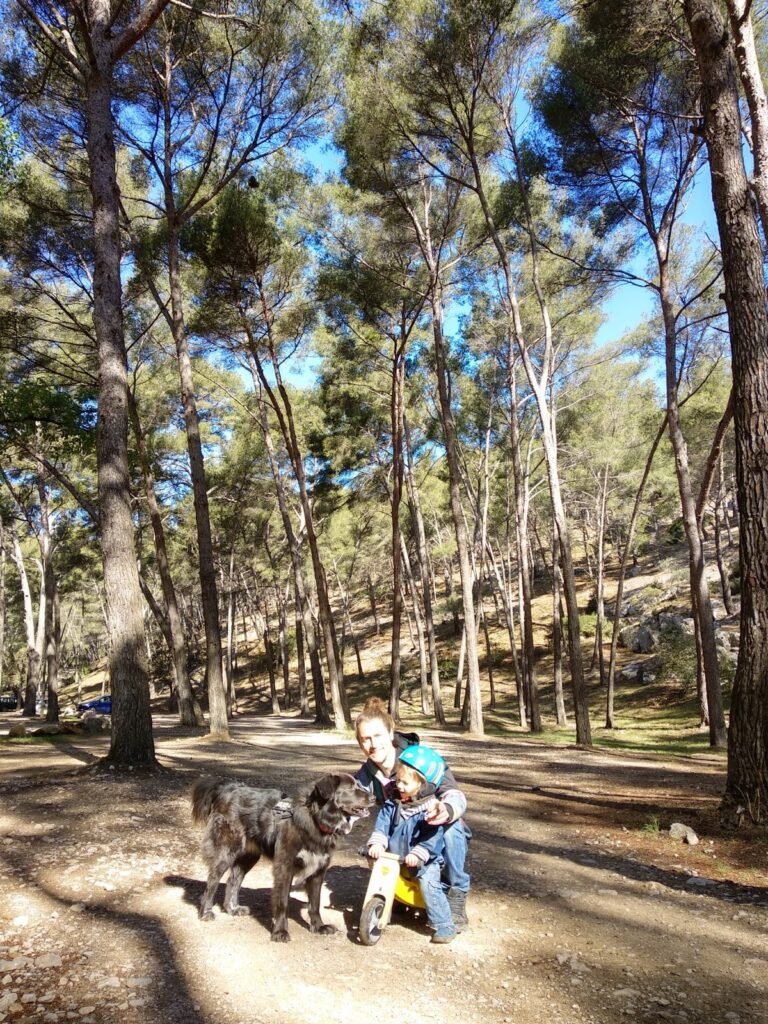 2019 5 9 Saint Cyr Sur Mer 1