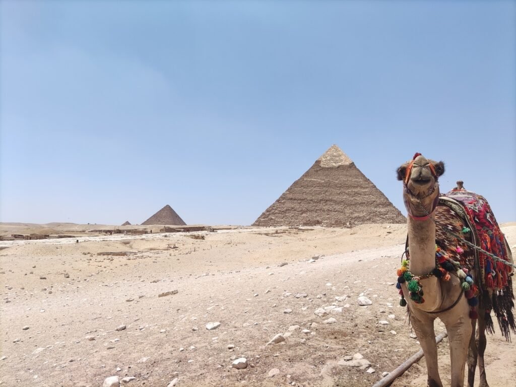 The Poney Tour Egypte 2022 14