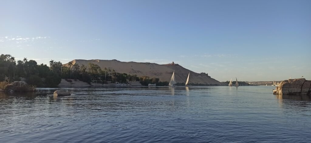 The Poney Tour Egypte 2022 51