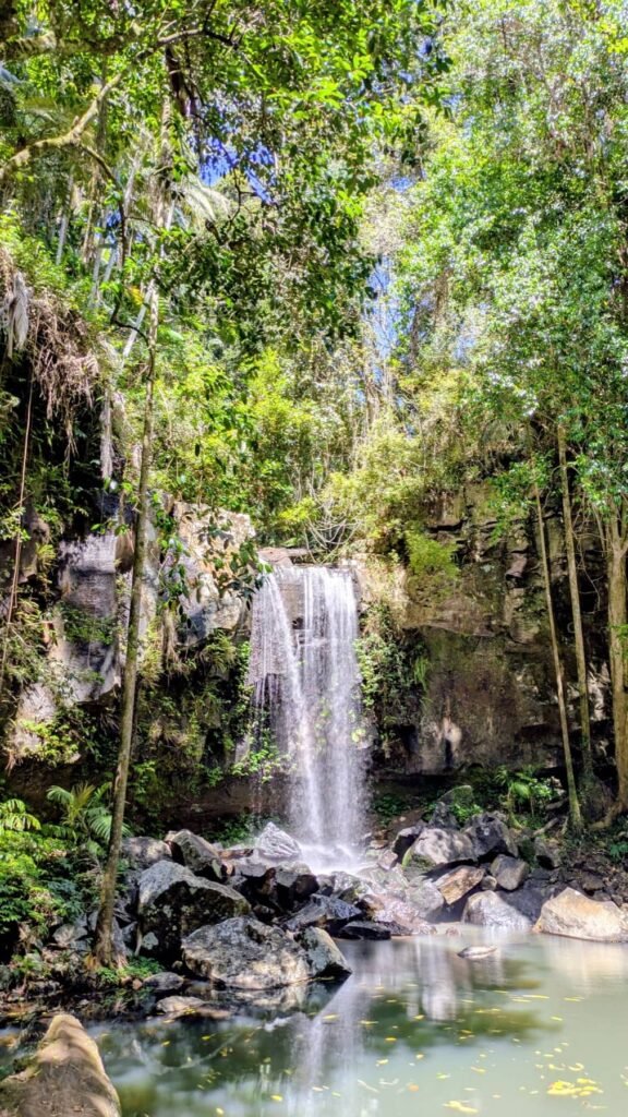 The Poney Tour Australie 2015 114