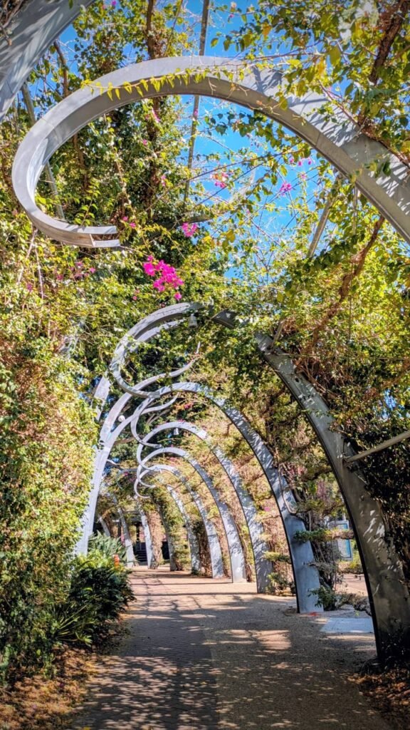 The Poney Tour Australie 2015 116