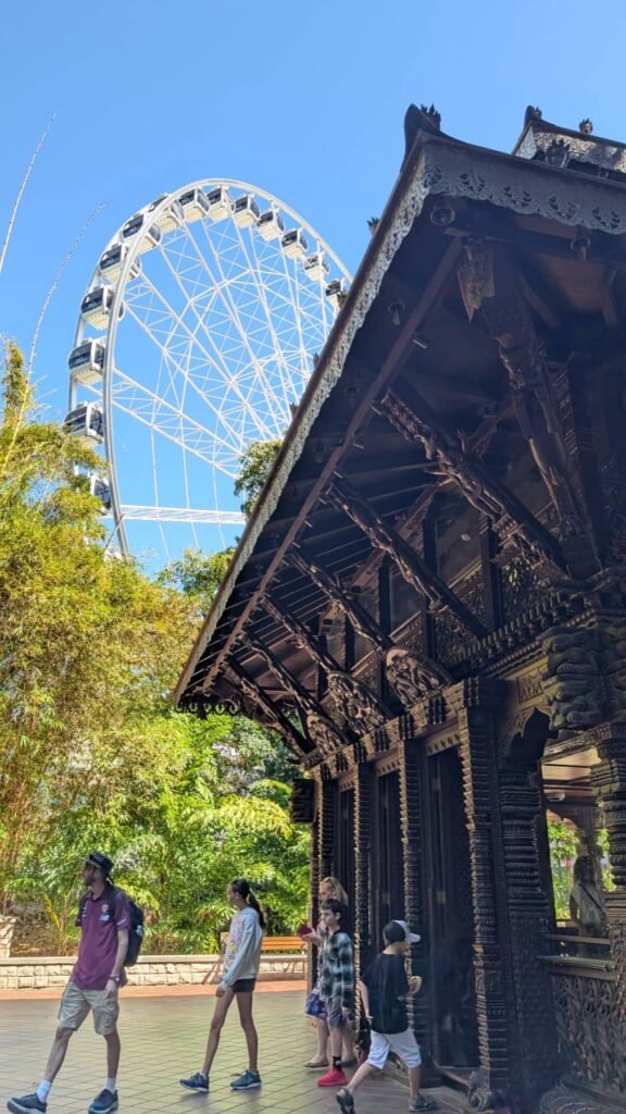 The Poney Tour Australie 2015 118