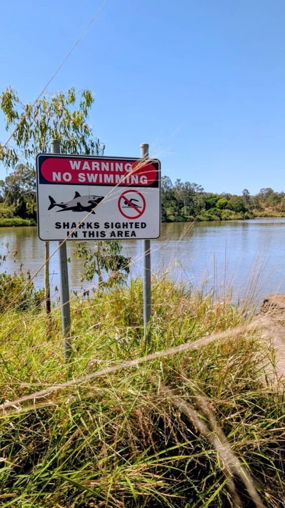 The Poney Tour Australie 2015 135