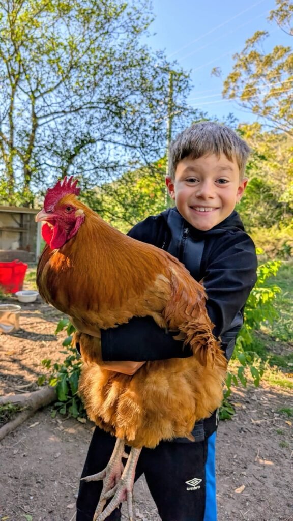 The Poney Tour Australie 2015 139