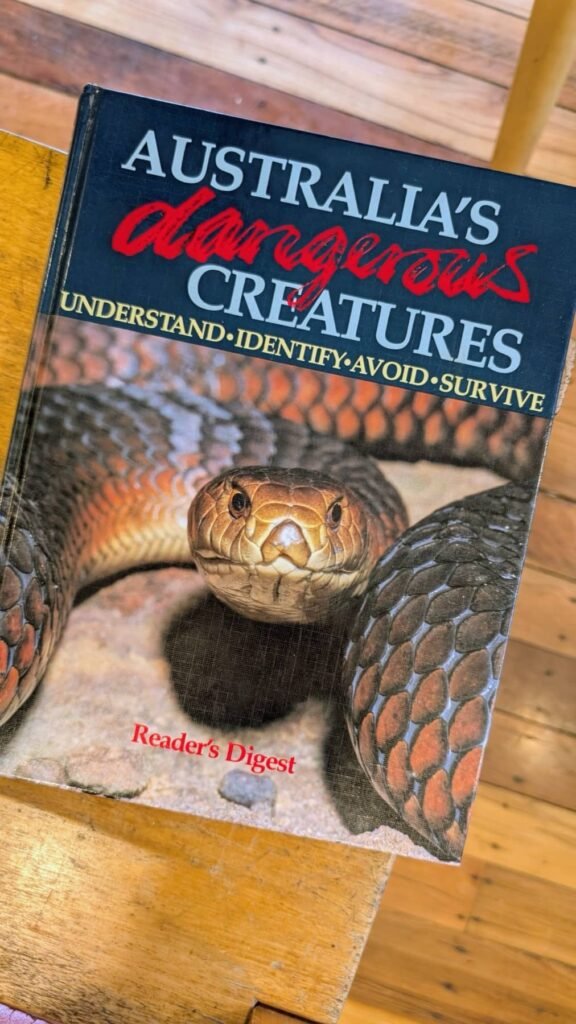 The Poney Tour Australie 2015 140