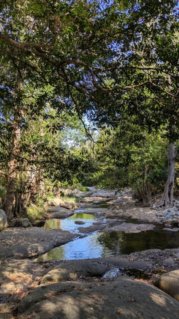 The Poney Tour Australie 2015 142