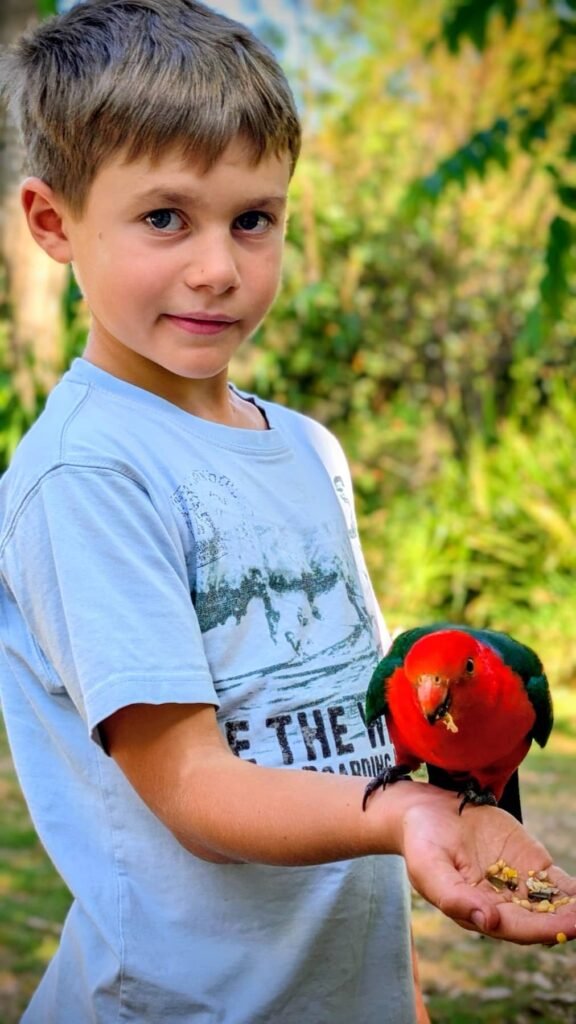 The Poney Tour Australie 2015 146