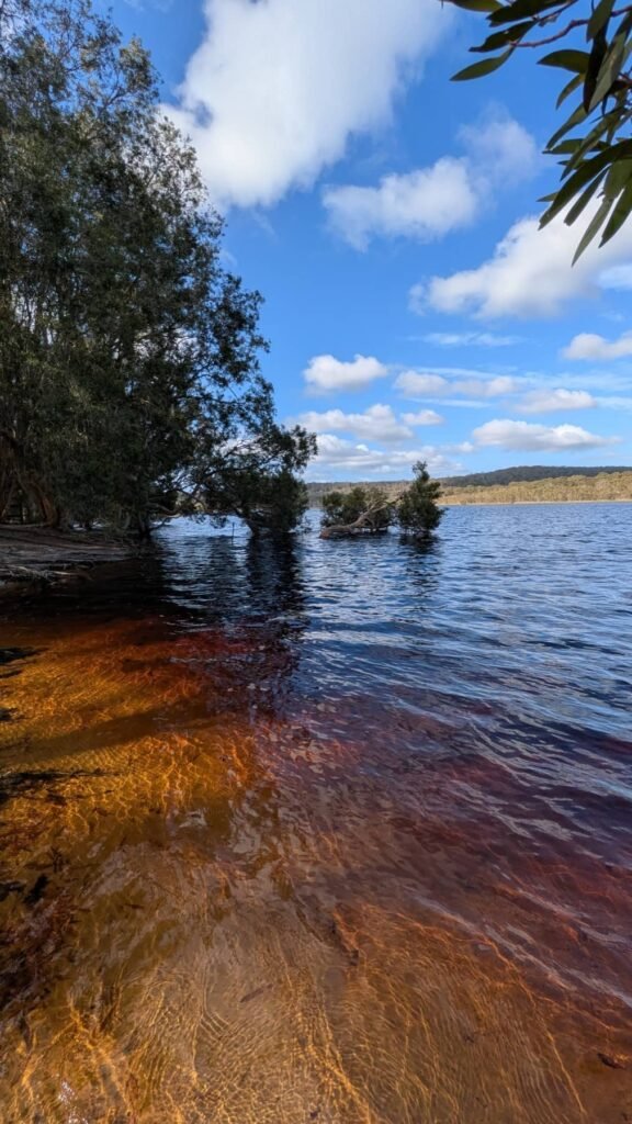 The Poney Tour Australie 2015 157