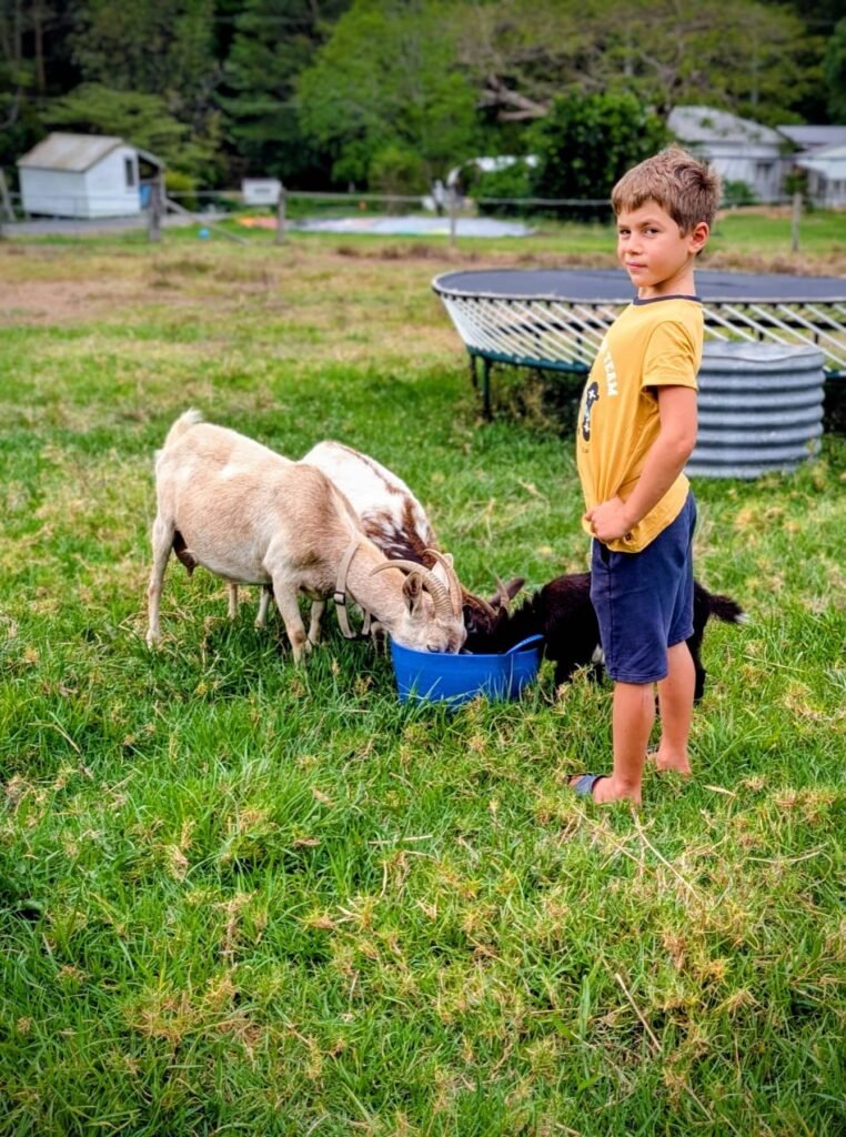 The Poney Tour Australie 2015 164