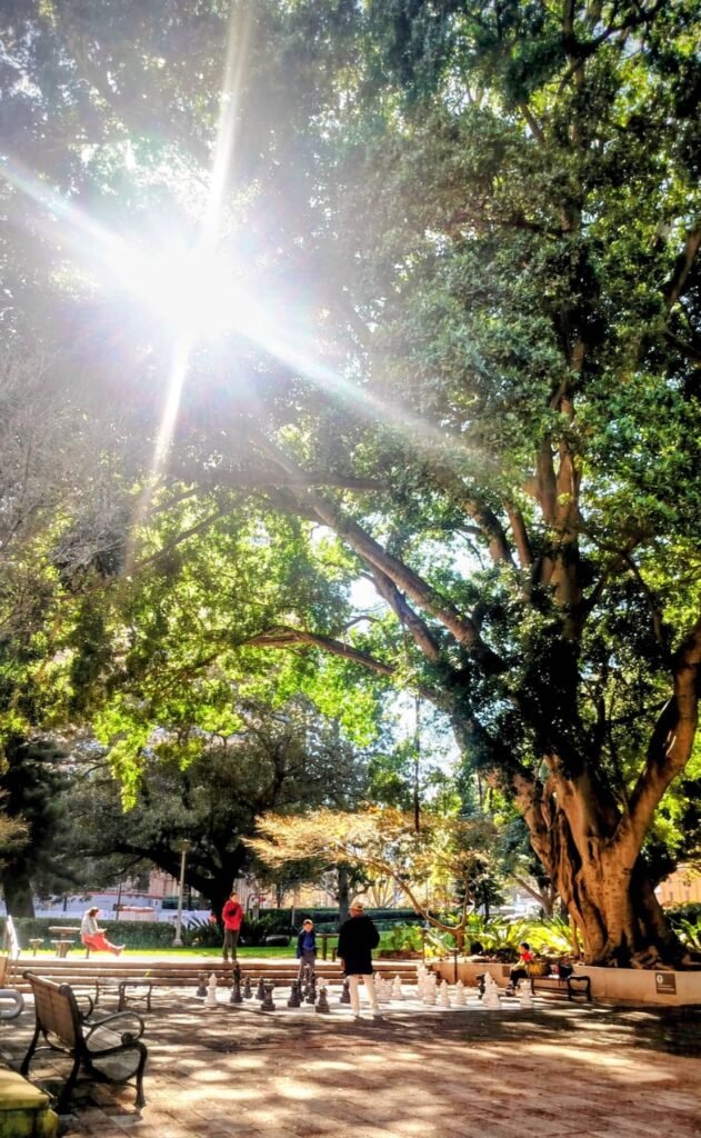 The Poney Tour Australie 2015 18